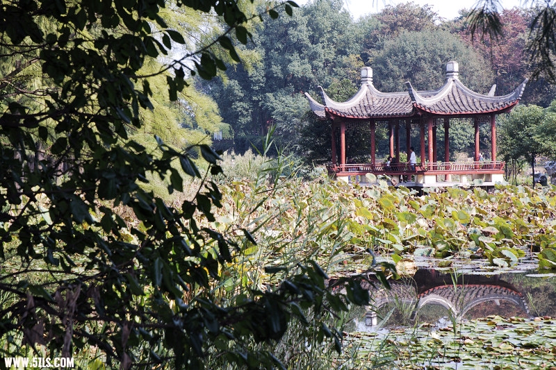 DSC_0756.jpg