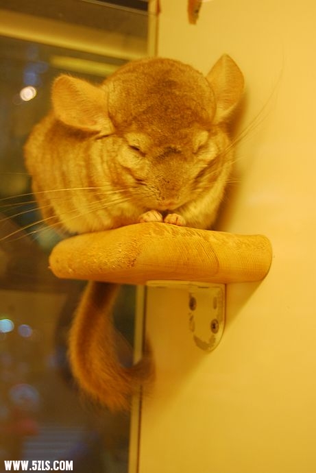 nEO_IMG_DSC_2392.jpg