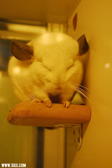 nEO_IMG_DSC_2393.jpg