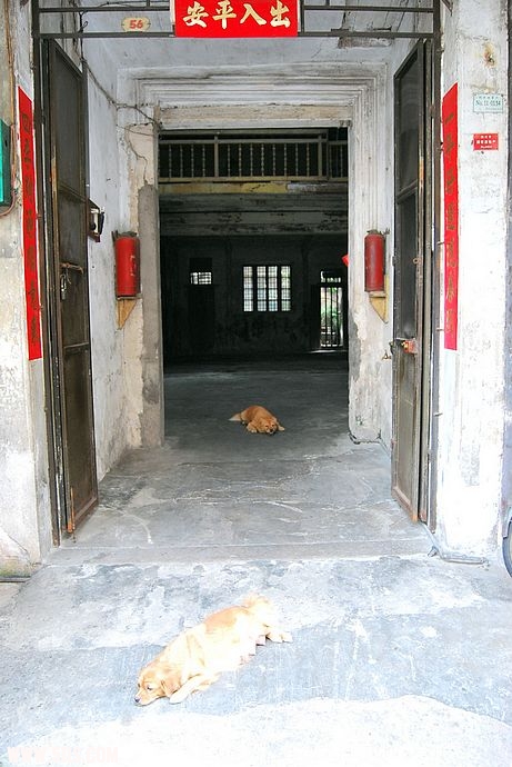 nEO_IMG_DSC_2413.jpg