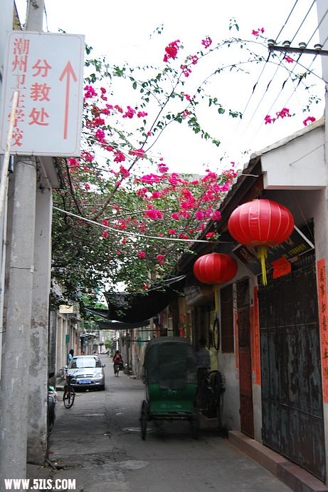 nEO_IMG_DSC_2440.jpg