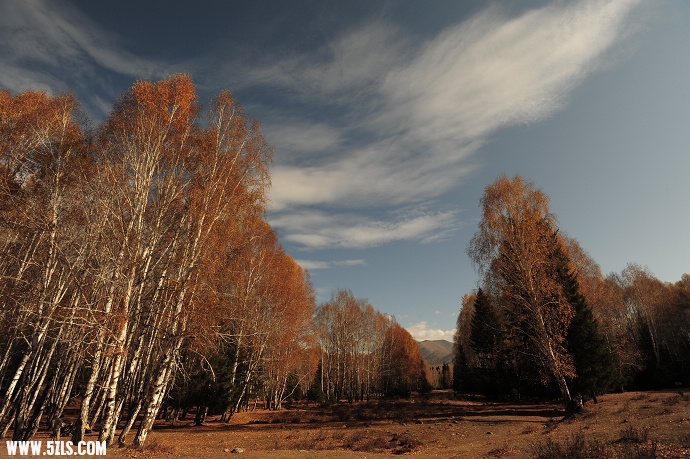 DSC_5682.jpg