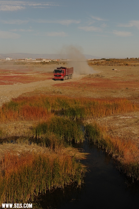 DSC_5439.jpg