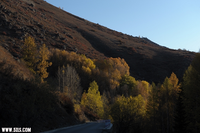 DSC_5550.jpg