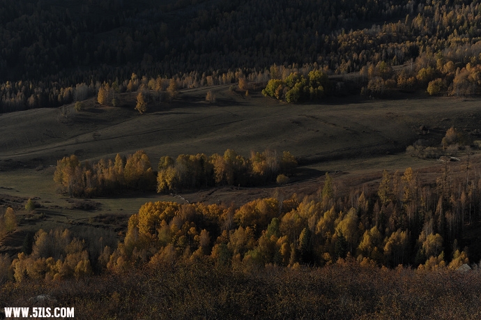 DSC_5567.jpg