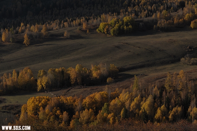 DSC_5575.jpg