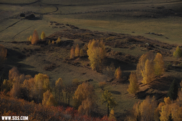 DSC_5586.jpg