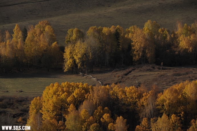 DSC_5588.jpg