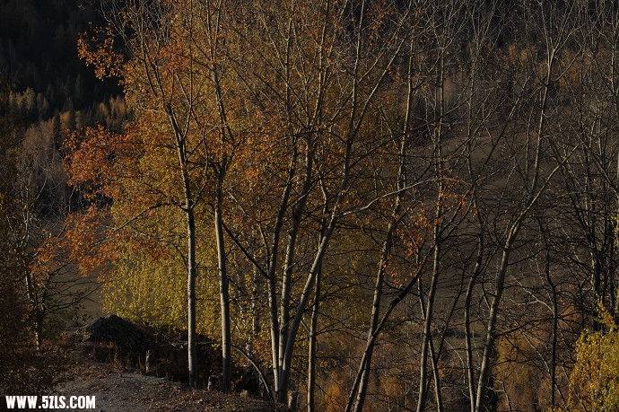 DSC_5595.jpg