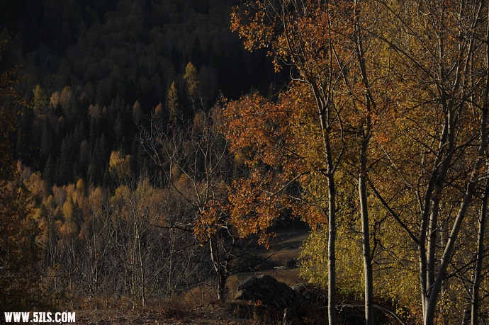 DSC_5599.jpg