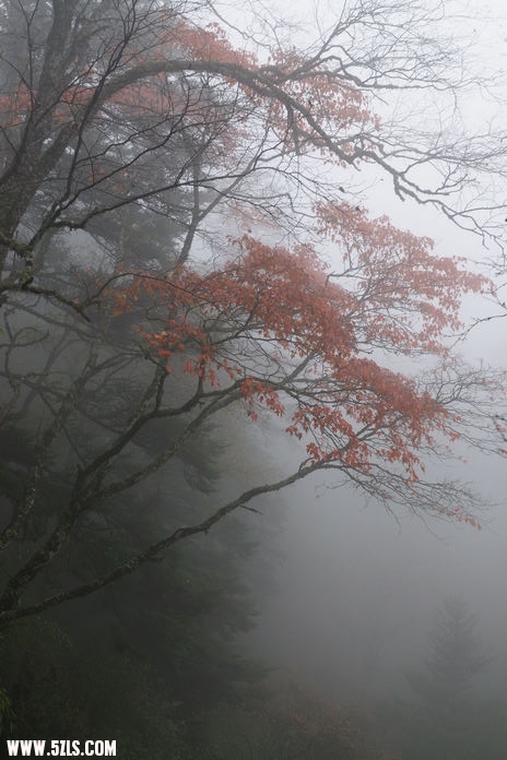 nEO_IMG_DSC_6137.jpg