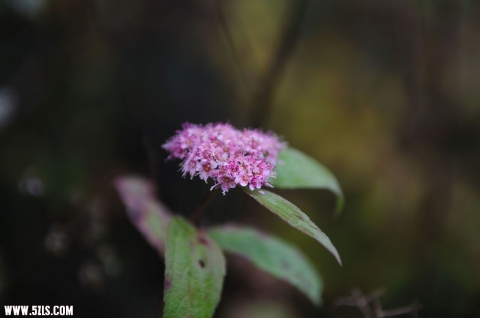 nEO_IMG_DSC_6445.jpg