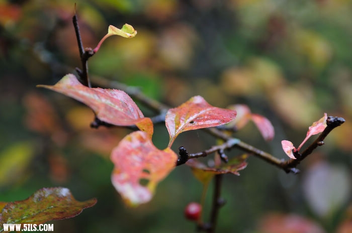 nEO_IMG_DSC_6462.jpg