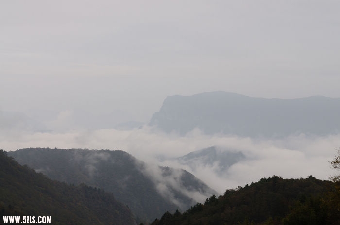 nEO_IMG_DSC_6356.jpg