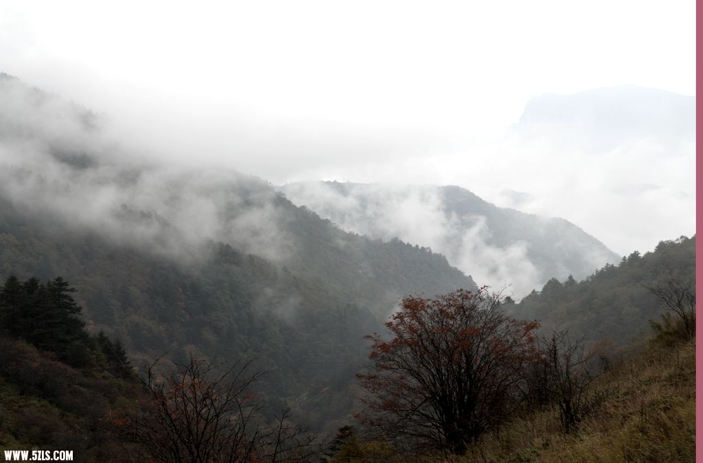DSC_6376-1.jpg