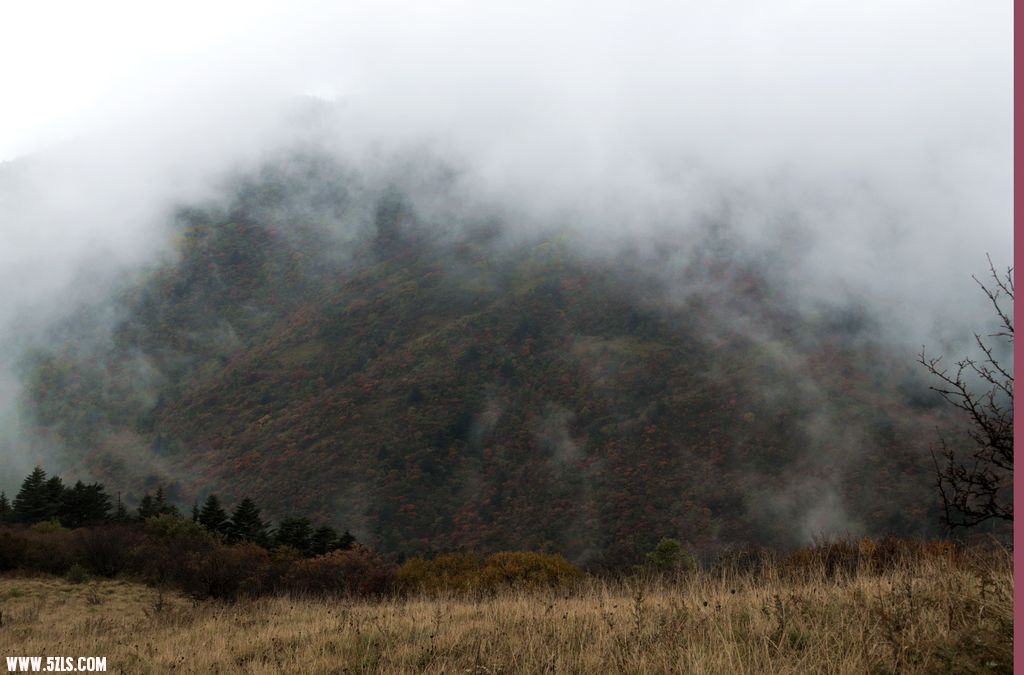 DSC_6394-3.jpg