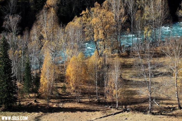 DPP_0105b.jpg