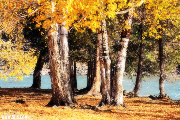 DPP_0084c.jpg