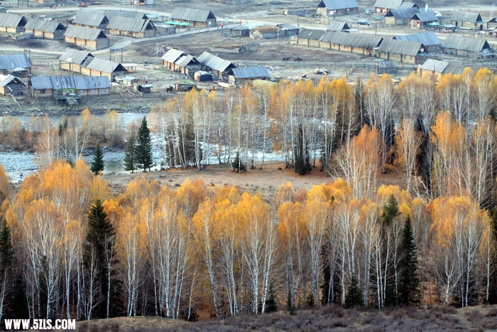DPP_0422a.jpg