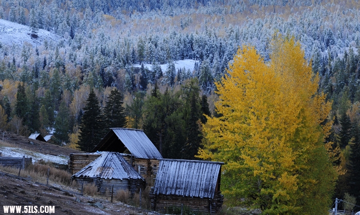 _4160980.JPG