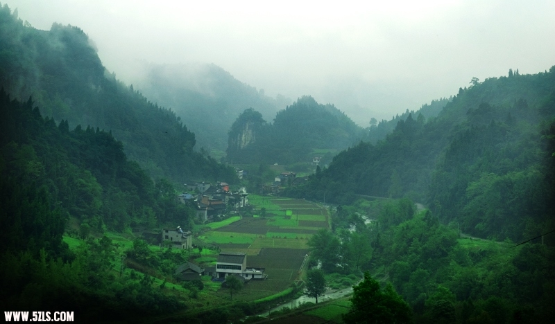 DSC_3774.jpg
