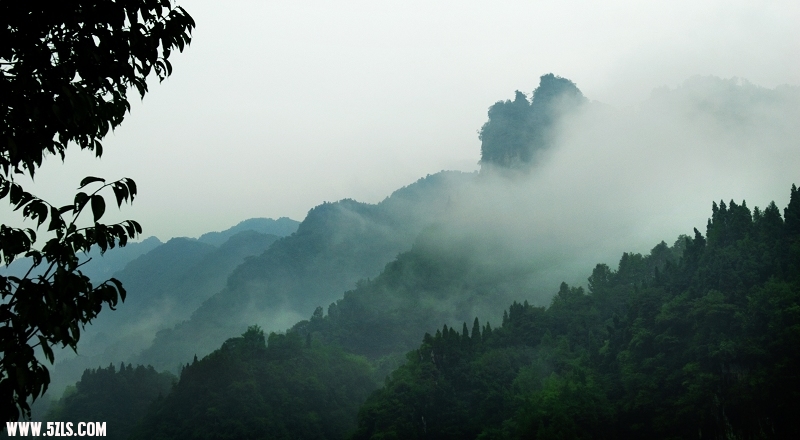 DSC_3776.jpg
