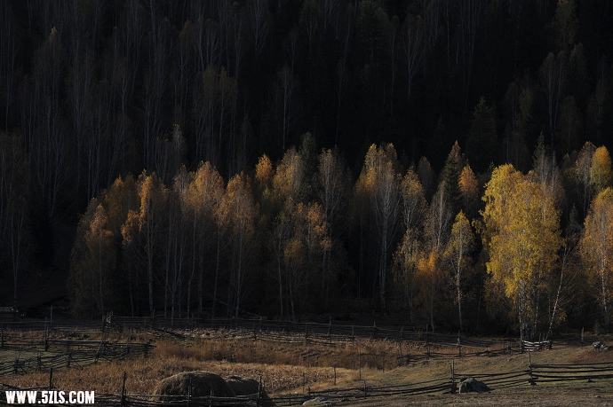 DSC_5641.jpg