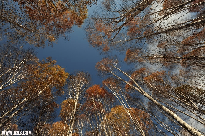 DSC_5692.jpg