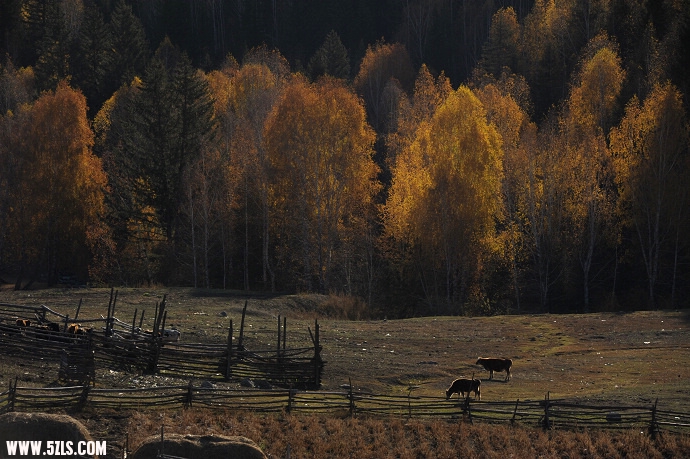 DSC_5639.jpg