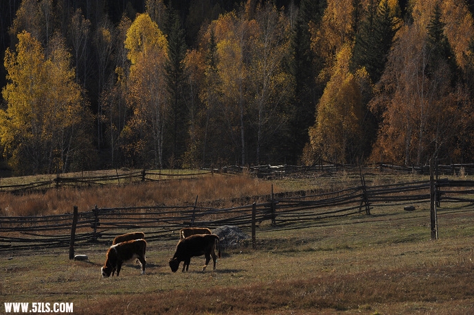 DSC_5634.jpg