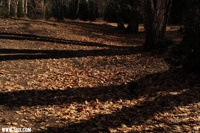 DSC_5679.jpg