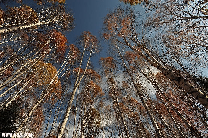 DSC_5691.jpg