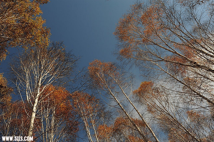 DSC_5695.jpg