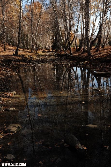 DSC_5705.jpg