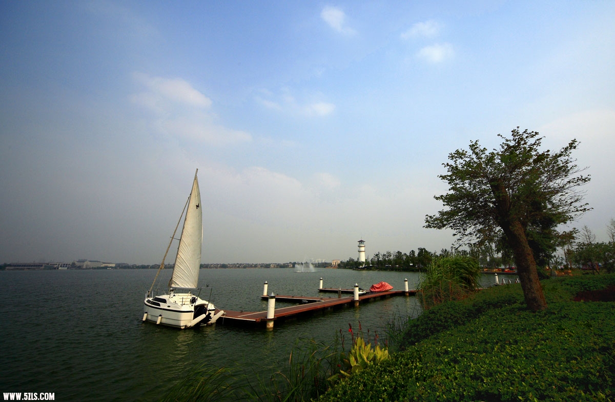 _110-q-3.jpg