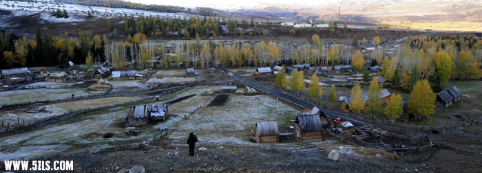 _4161031.JPG