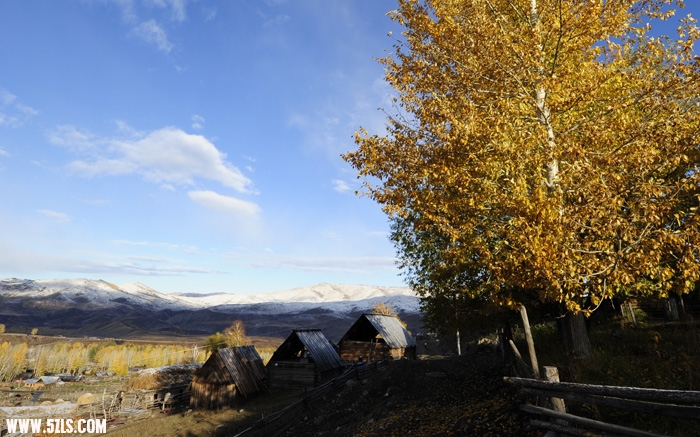 _4161079.JPG