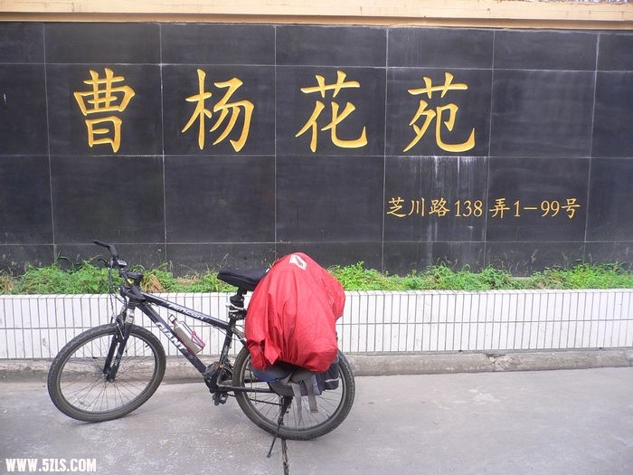 P1100699.jpg