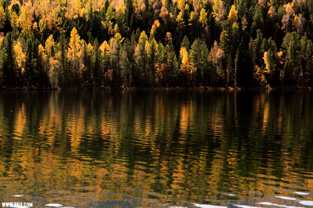 416_1579.JPG