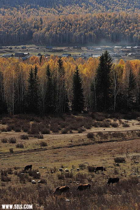 DSC_5729.jpg