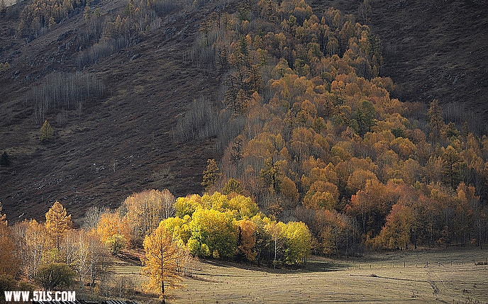 DSC_5758.jpg