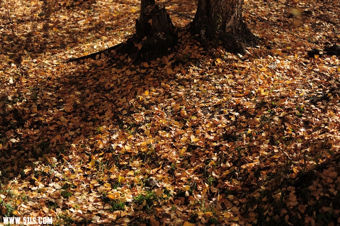 DSC_5764.jpg