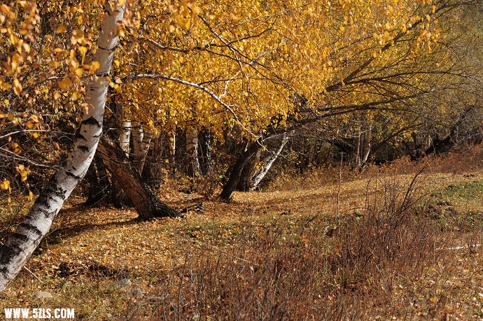 DSC_5767.jpg
