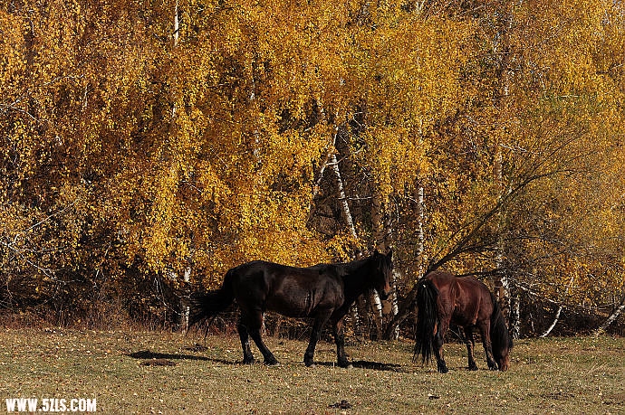 DSC_5773.jpg