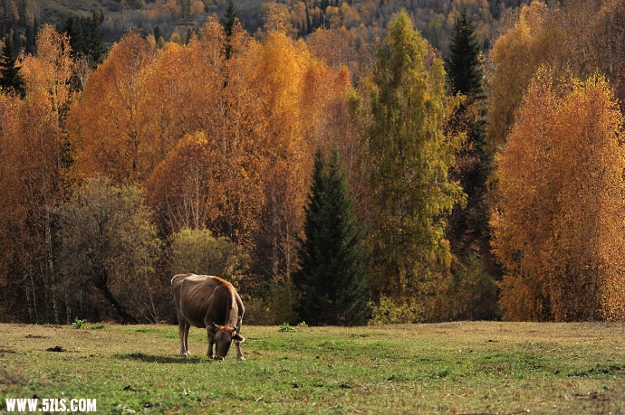 DSC_5788.jpg