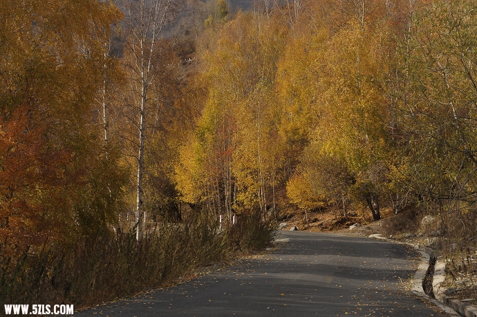 DSC_5810.jpg