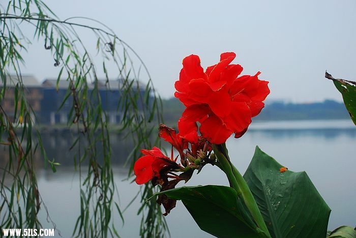 nEO_IMG_DSC_7894.jpg