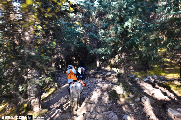 YHA_3238.jpg
