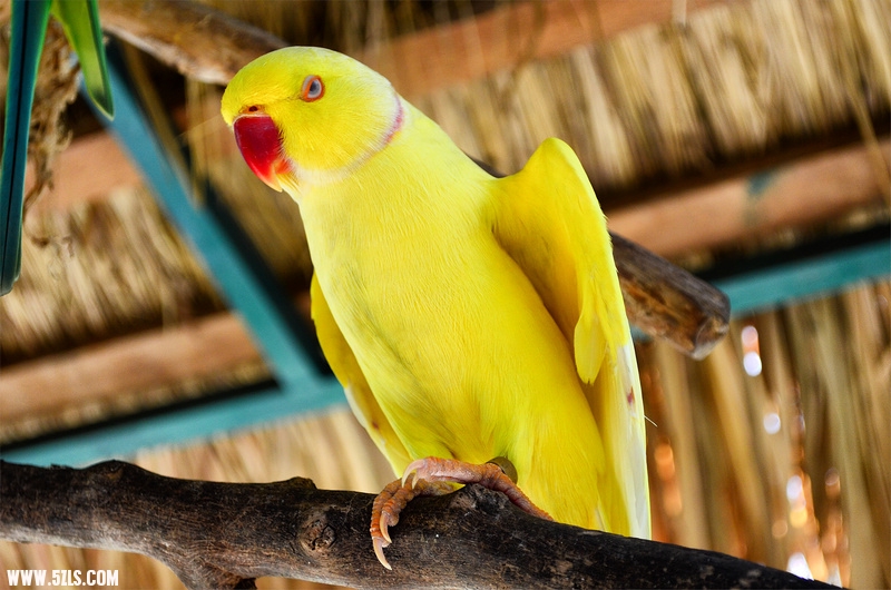 DSC_1393.jpg