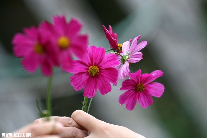 image139.jpg